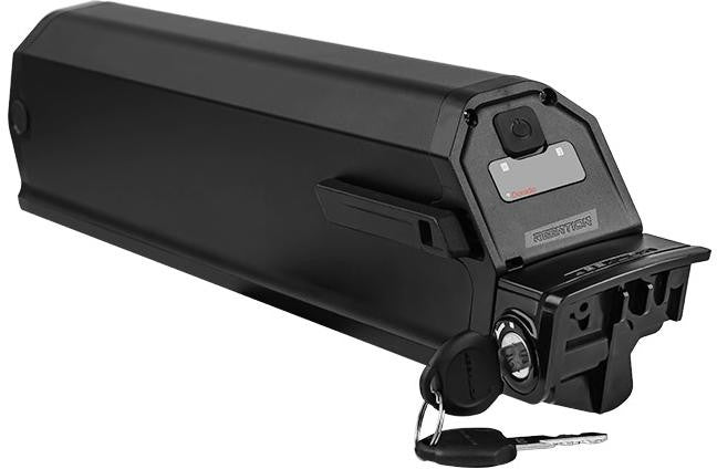 Bezorg Accu Dorado Plus 48V